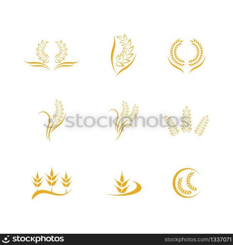 Wheat vector icon illustration design