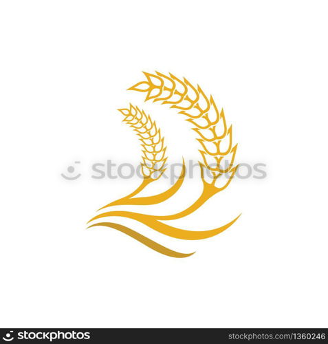 Wheat vector icon illustration design