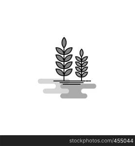 Wheat Web Icon. Flat Line Filled Gray Icon Vector