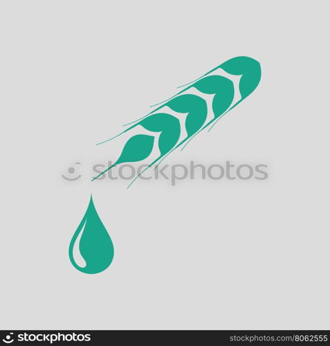 Wheat with drop icon. Gray background with green. Vector illustration.