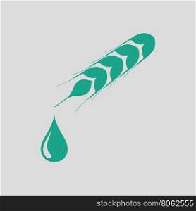 Wheat with drop icon. Gray background with green. Vector illustration.