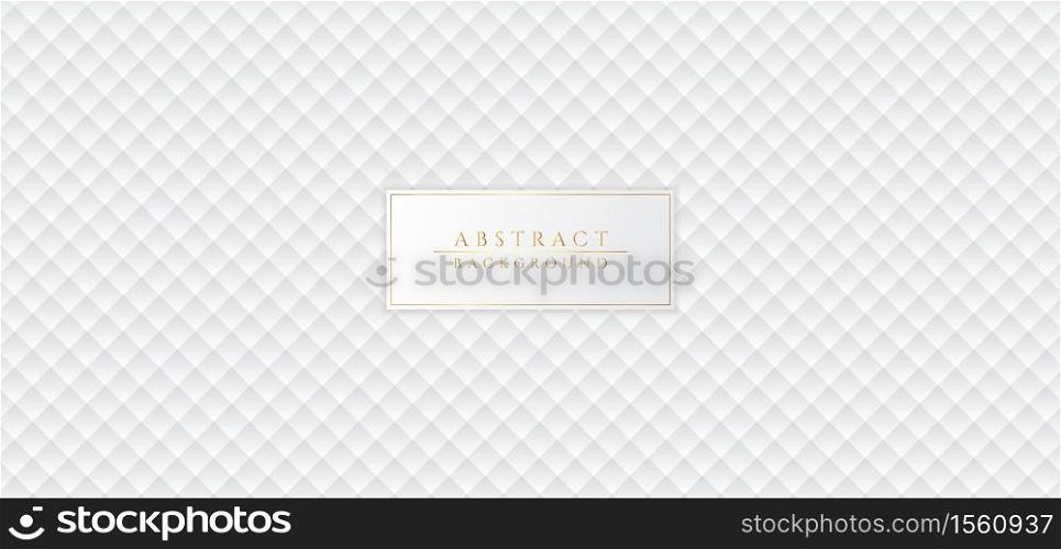 White abstract pattern luxury clean concept modern background. vector illustration.