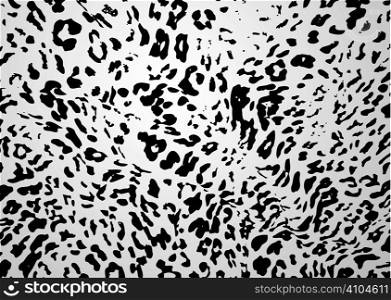 White and black snow leopard abstract background skin