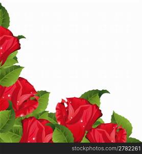 White background with red roses. Clipping Mask