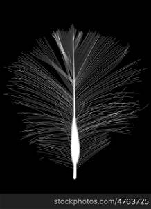 White Bird Feather Drawn on Black Background. Vector Illustration. EPS10. White Bird Feather Drawn on Black Background. Vector Illustratio