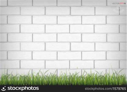 White brick wall texture background and green grass. Vector illustration.