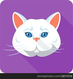 White british Cat icon flat design