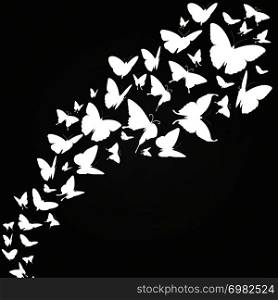 White butterflies silhouettes on chalkboard. Drawing white on blackboard, vector illustration. White butterflies silhouettes on chalkboard