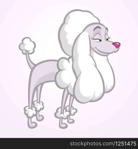 White cartoon poodle. Vector illustration