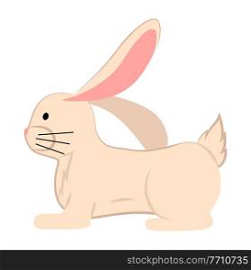 White cartoon rabbit vector illustration. Cute small decorative rabbit with pink ears, a pet isolated on white background. Easter bunny tradition holiday attribute. A hare fluffy wild forest animal. White cartoon rabbit vector illustration. Cute small rabbit with pink ears isolated on white