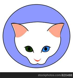 White cat with green and blue eye, illustration, vector on white background.