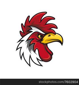 White cock head isolated mascot bird. Vector rooster, chicken mascot, fighting gamecock. Rooster head isolated white cock