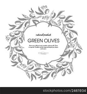 White colored filigree frame with olives bunches, stem and elegant squiggles hand drawn sketch vector illustration. White Colored Filigree Frame Hand Drawn Sketch
