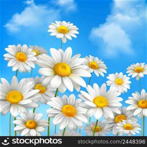 White daisy chamomile flowers on blue sunny summer sky background vector illustration