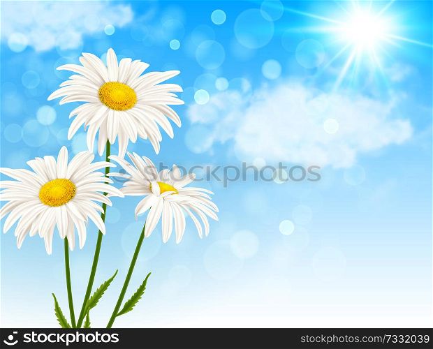 White daisy flowers and clouds on a blue sky background. Spring floral background. Vector illustration.