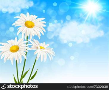 White daisy flowers and clouds on a blue sky background. Spring floral background. Vector illustration.