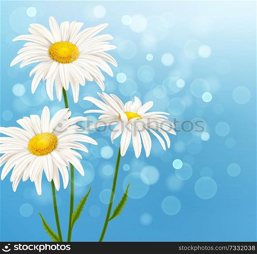 White daisy flowers on a blue sky background. Spring floral background. Vector illustration.