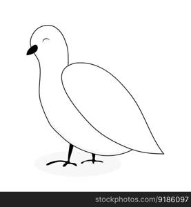 White dove animal vector. Dove and peace, white bird isolated, pigeon cartoon illustration. White dove animal vector