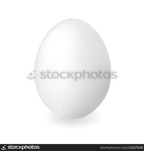 White duck egg shell with isolated white background and shadow