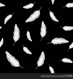 White Feather Seamless Pattern on Black Background. White Feather Seamless Pattern