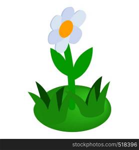 White flower icon in isometric 3d style on a white background. White flower icon, isometric 3d style