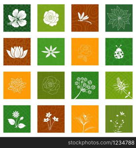 White flowers and leaves icons set isolated on different background for decorative graphic design,vector illustration