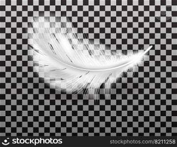 White fluffy feather with shadow vector realistic isolated on transparent background. Feathers from wings of birds or angel, symbol of softness and purity, design element. White fluffy feather with shadow realistic