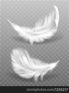 White fluffy feather with shadow vector realistic set isolated on transparent background. Feathers from wings of birds or angel, symbol of softness and purity, design element. White fluffy feather with shadow vector realistic