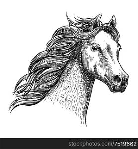 White graceful horse sketch portrait. Wild mustang with mane waving by wind, looking in far. White graceful horse sketch portrait