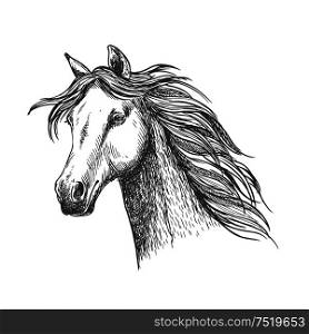 White graceful horse with waving mane along neck. Mustang stallion sketch portrait with wise eyes and calm glance. White graceful horse with mane sketch portrait