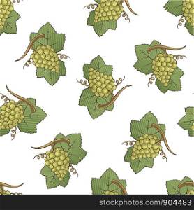 White grapes with leaves colored illustration seamless pattern background with engraving shading.