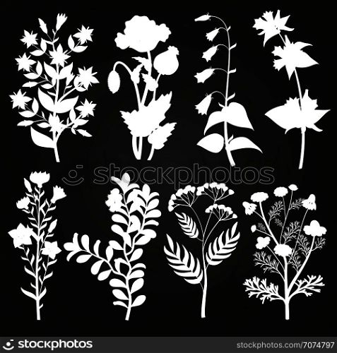 White herbal and floral silhouettes on chalkboard. Vintage branch floral. Vector illustration. White herbal and floral silhouettes on chalkboard
