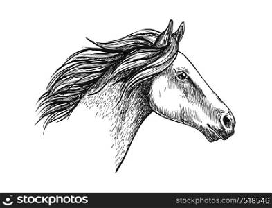 White horse pencil sketch portrait. Running mustang with waving mane on white background. White horse pencil sketch portrait