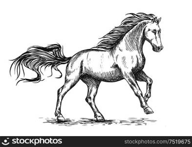 White horse running and stomping sketch portrait. Vector mustang stallion freely gallop rushing against wind with waving mane and tail. Running galloping white horse sketch portrait