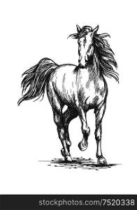 White horse running free gait. Wild mustang stallion walks against wind with waving mane and tail. Vector sketch portrait. White horse freely running portrait