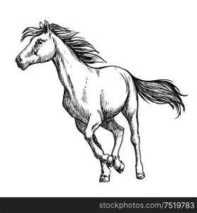 White horse running freely. Wild mustang stallion gallops against wind with waving mane and tail. Vector thin line sketch portrait. White horse freely running sketch portrait