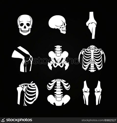 White human skull and bones - medical diagnostic on chalkboard. Vector illustration. White human skull and bones