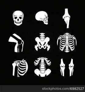White human skull and bones - medical diagnostic on chalkboard. Vector illustration. White human skull and bones
