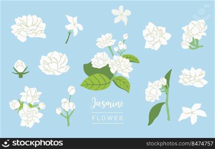 white jasmine object on blue background