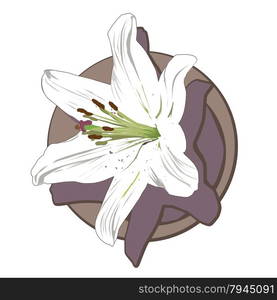 White lily clip art isolated on white