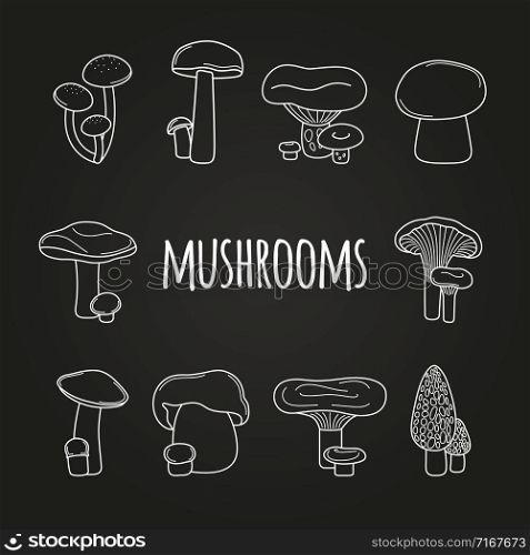 White line mushroom icons on blackboard background, vector illustrtion. White line mushrooms on blackboard