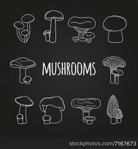 White line mushroom icons on blackboard background, vector illustrtion. White line mushrooms on blackboard