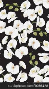 White orchid floral seamless pattern. Flowers bloom blossom foliage bouquet on black background.