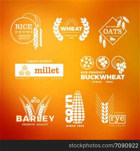 White organic wheat grain farming agriculture vector logo set illustration. Organic wheat grain farming agriculture vector logo set