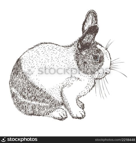 White rabbit with black spots around the eyes. Seating bunny. Hare isolated on white background. Hand drawn sketch Enaving style. Chinese New Year Symbol. Easter cheerful character in mask. Vector. White rabbit with black spots around the eyes. Seating bunny. Hare isolated on white background. Hand drawn sketch Enaving style. Chinese New Year Symbol. Easter cheerful character in mask.