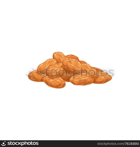 White raisins dried fruits, dry food snacks vector icon. Dried white raisins, grape fruity sweets, diet nutrition and vegetarian natural organic food, dessert ingredient and healthy vegan eating. White raisins dried fruits, dry food snacks sweets