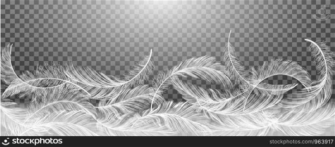 White Realistic Different Falling Feathers Isolated on Transparency Grid Background. Design Template. Vector illustrtion