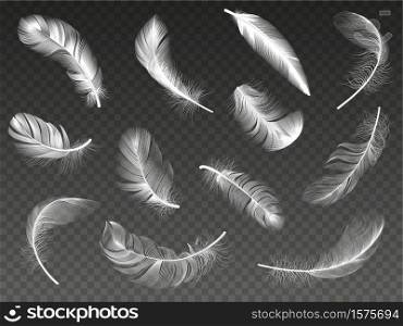 White realistic feather. Fluffy angel twirled feathers, 3d bird feather, swan or dove wings plumage isolated vector illustration icons set. Realistic white swan and fluffy, feather falling. White realistic feather. Fluffy angel twirled feathers, 3d bird feather, swan or dove wings plumage isolated vector illustration icons set