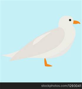 White seagull, illustration, vector on white background.