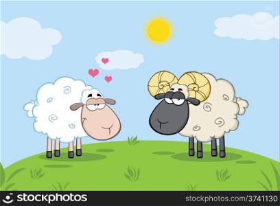 White Sheep In Love With Ram Sheep On A Meadow